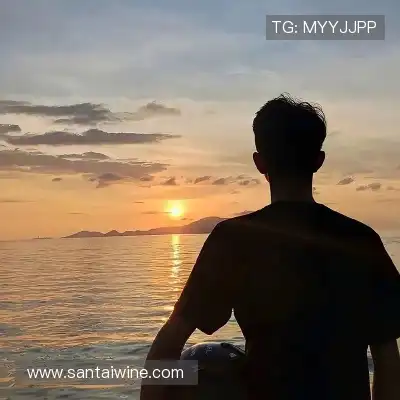 毕舜澄